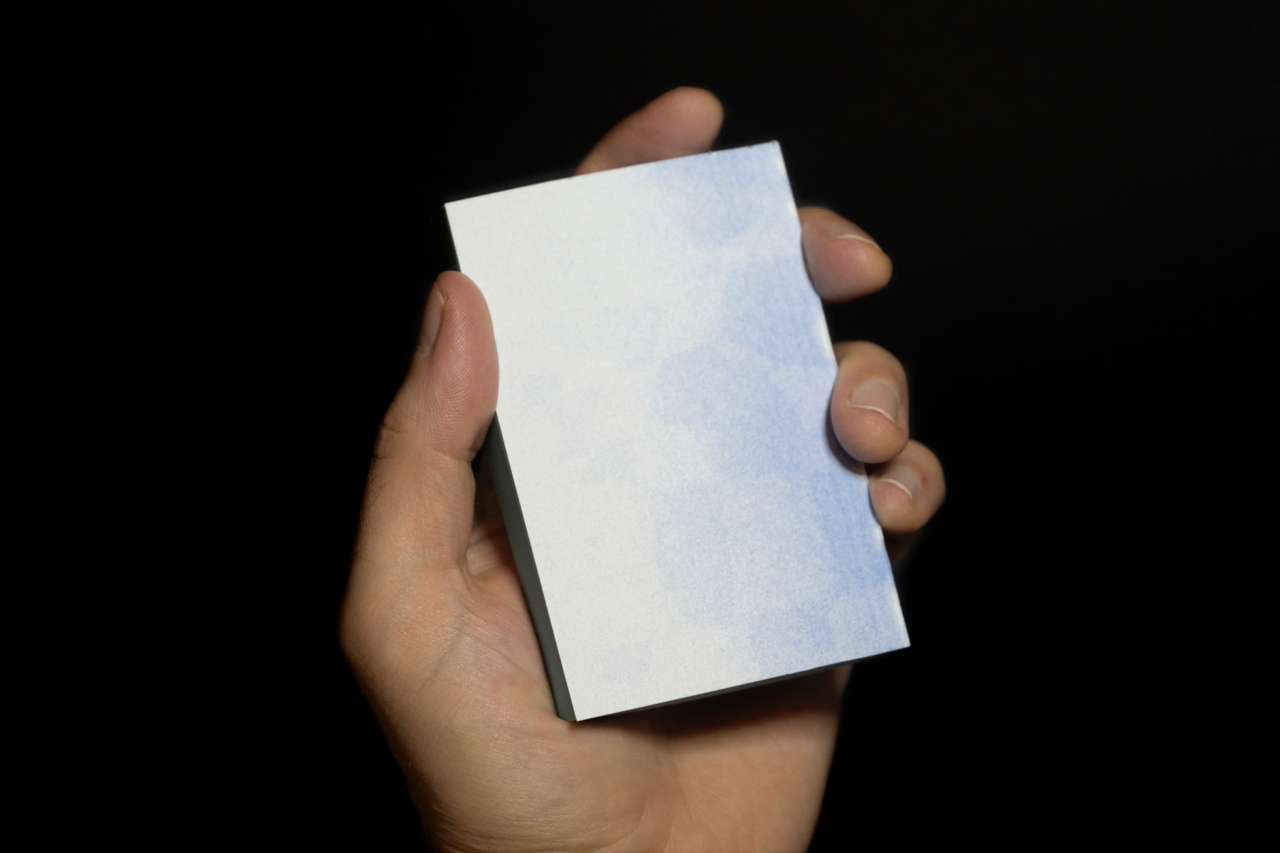 W.Y.S.I.W.Y.G. (flipbook), 2