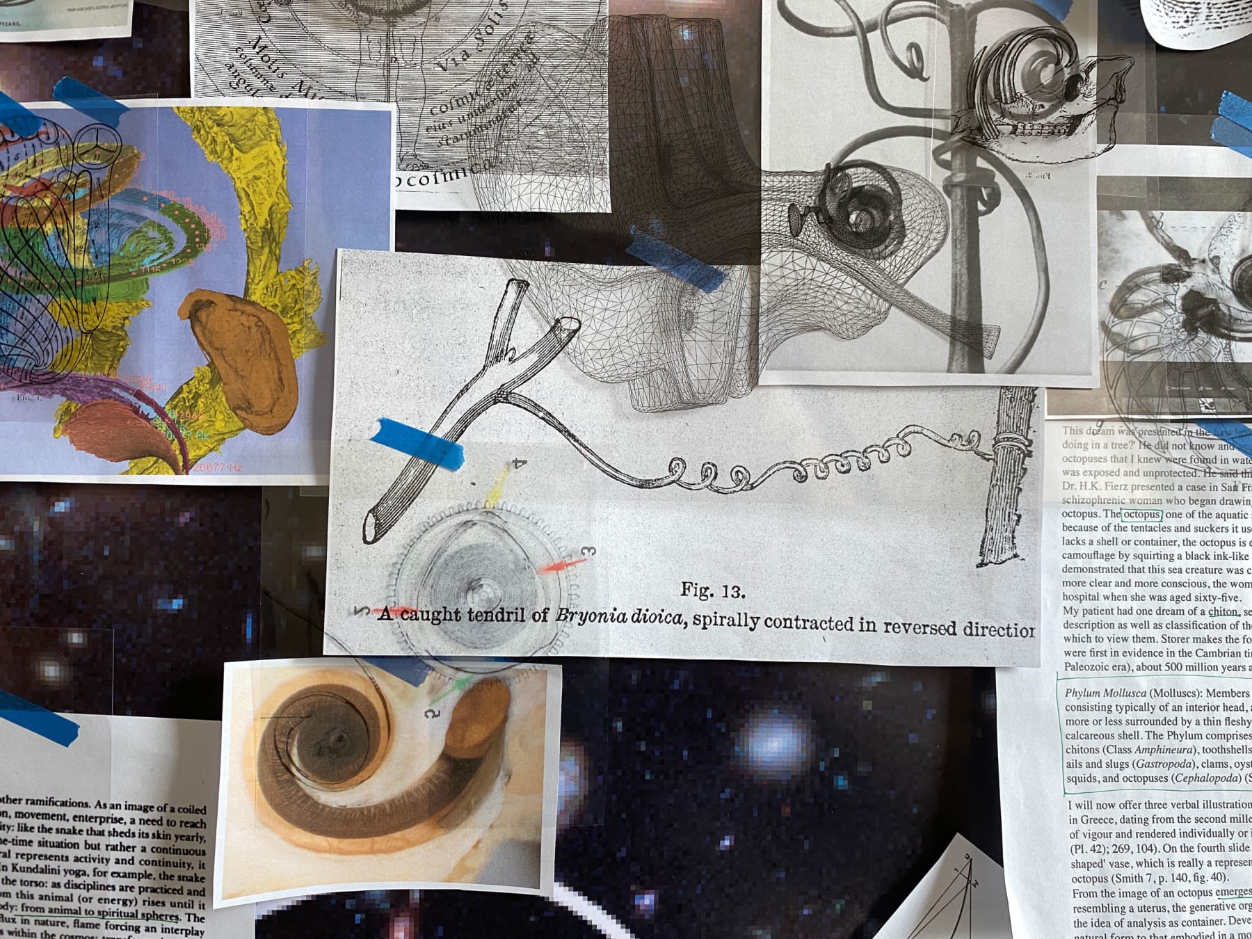 It Takes Spirals to Feed the Spiral, 3